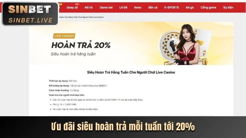 Hoàn trả hàng ngày và các phần thưởng VIP